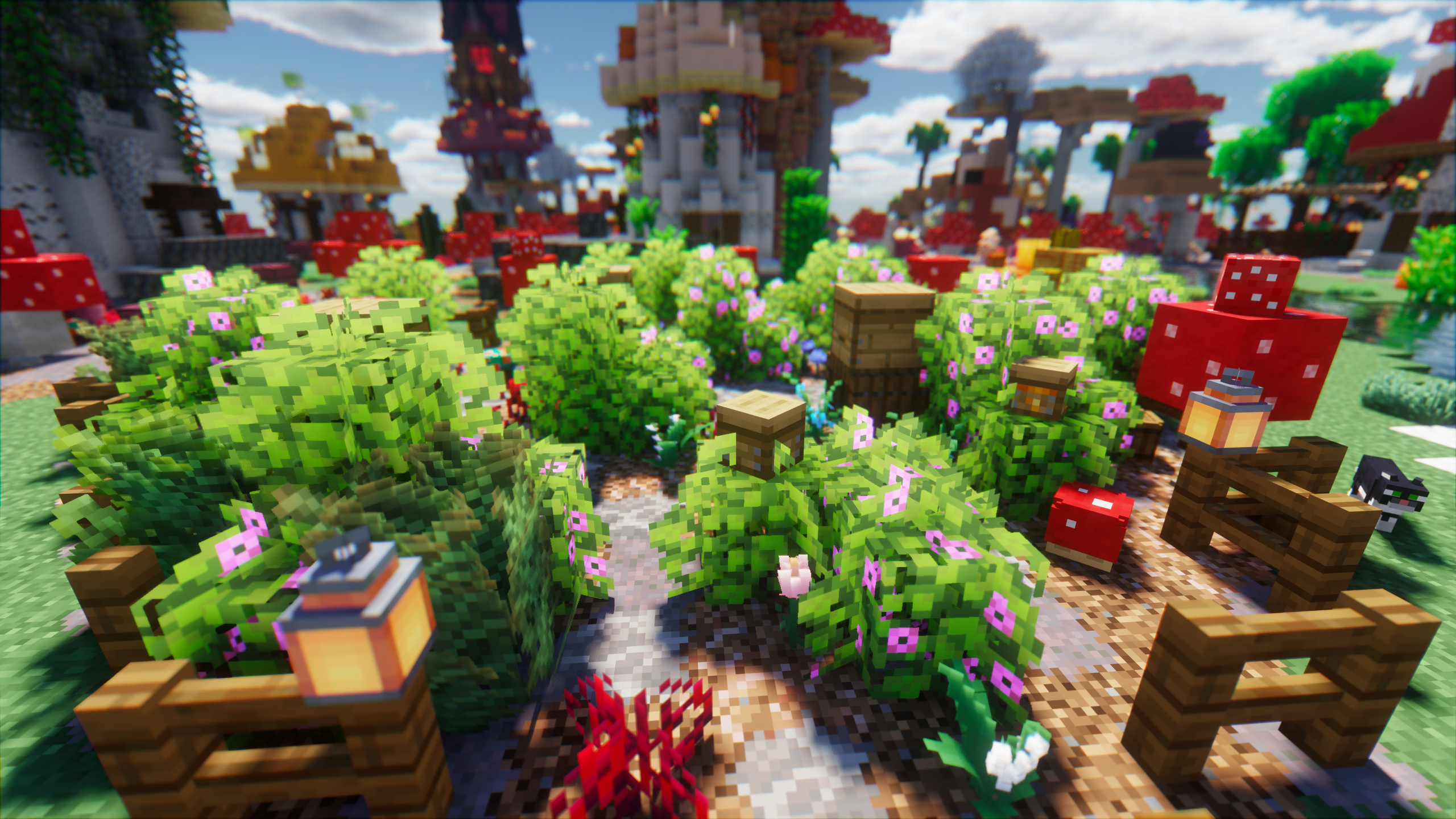 图片[5]-乌托邦探险之旅-向日葵工作室