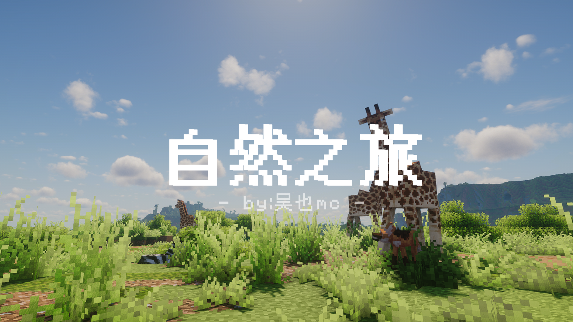 图片[3]-自然之旅-向日葵工作室