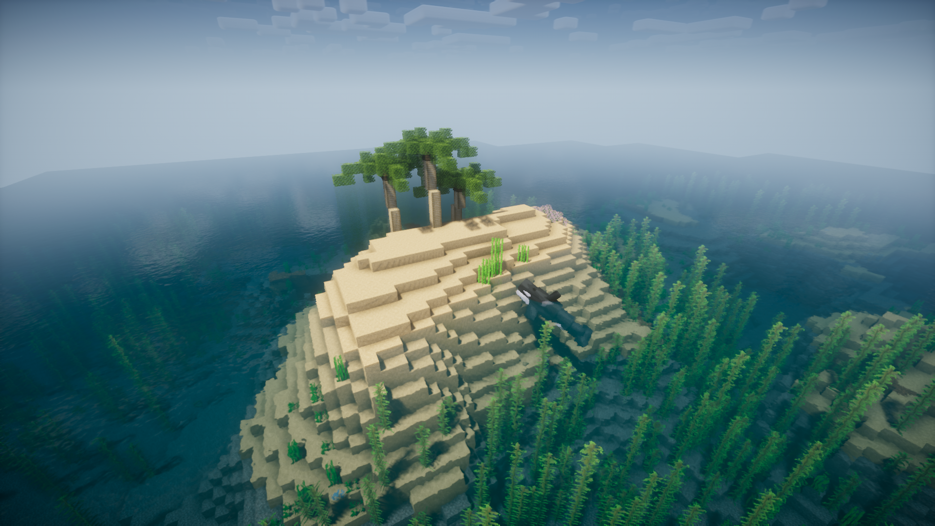 图片[4]-悠然人生2-海岛-向日葵工作室