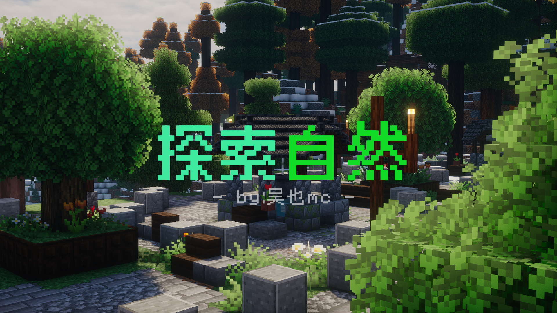 图片[4]-探索自然-向日葵工作室