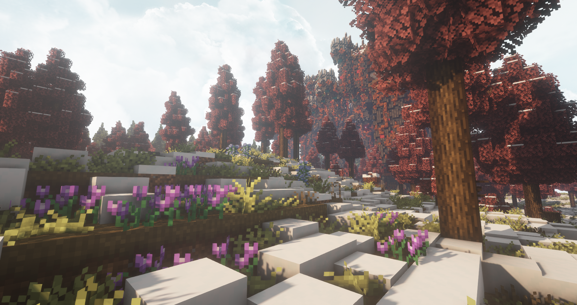 图片[4]-异界生活幻想-向日葵工作室