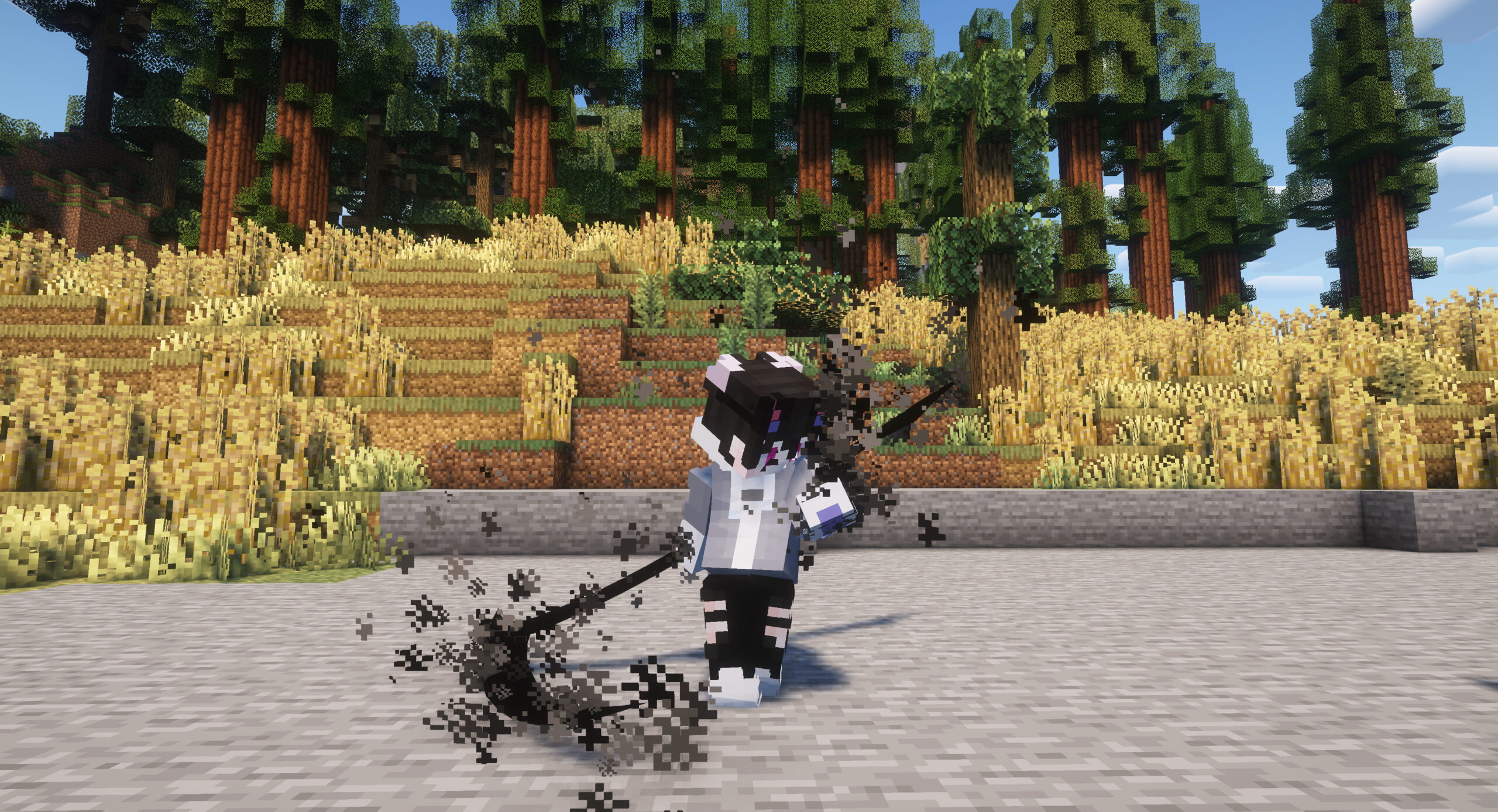 图片[3]-剑道整合包-向日葵工作室