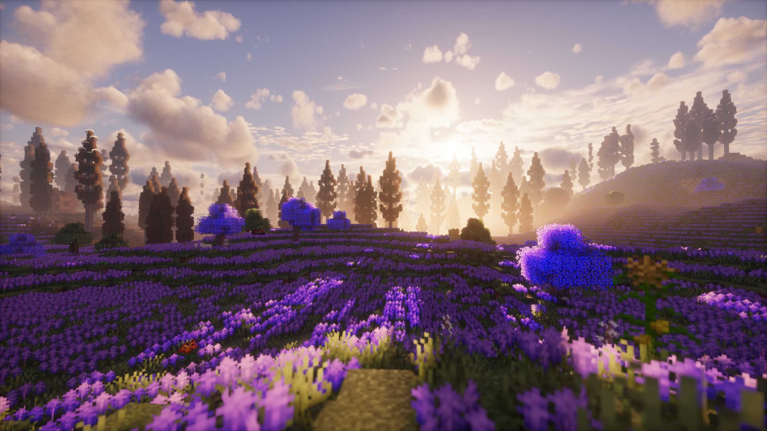 图片[7]-地球3-向日葵工作室